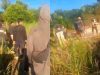 BREAKING NEWS: Polres Sambas dan Polda Kalbar Gerebek PETI di Kolam Biru Selakau, Pelaku Melakukan Perlawanan