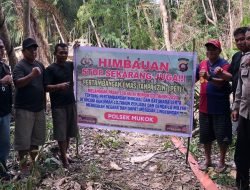 Polsek Mukok Tertibkan Tambang Emas Ilegal di Desa Inggis
