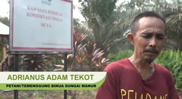 Tokoh adat Adrianus Adam Tekot di Desa Sungai Nau, Kubu Raya, Kalimantan Barat, menyerukan pengakuan atas hak kelola hutan adat yang telah lama dirampas. (Dok. Ist)