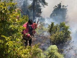 BNPB Catat 6 Bencana dalam 24 Jam, Warga Diminta Tetap Siaga