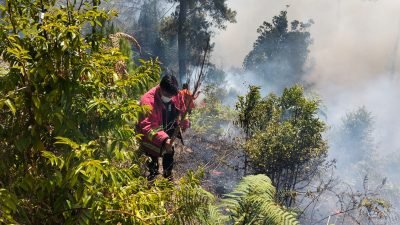 Satgas Manggala Agni Kabupaten Toba memadamkan api yang membakar tujuh hektar lahan di Desa Pagar Batu, Kecamatan Balige, Kabupaten Toba, Sumatra Utara pada Jumat (11/7). Sumber Foto: BPBD Kabupaten Toba