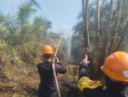 Satbrimob Polda Kalbar Padamkan 4 Hektar Lahan di Kubu Raya, Diduga Sengaja Dibakar