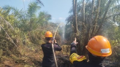 Satbrimob Polda Kalbar Padamkan 4 Hektar Lahan di Kubu Raya, Diduga Sengaja Dibakar