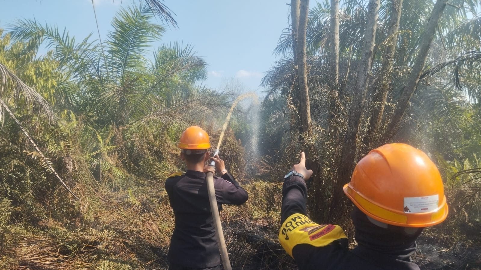 Personel Satbrimob Polda Kalbar berjibaku memadamkan api yang melahap lahan kosong di Jl. Sultan Agung Kuala Dua, Kabupaten Kubu Raya, Senin (21/7/2025). Kebakaran di lahan gambut ini diduga akibat kesengajaan. Foto: HO/Faktakalbar.id