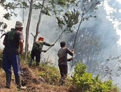 BNPB: Kebakaran Hutan dan Lahan Melanda Sejumlah Wilayah Indonesia dalam 24 Jam