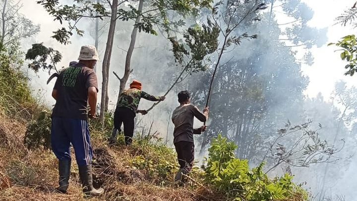 Kondisi kebakaran hutan dan lahan yang terjadi di Nagari Guguak Sarai, Kecamatan IX Koto Sungai Lasi, Kabupaten Solok, Provinsi Sumatera Barat. Foto: HO/Faktakalbar.id