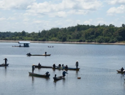 Wabup Kapuas Hulu Hadiri Panen Raya Ikan di Nanga Embaloh