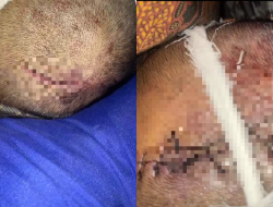 Misteri Kematian Mahasiswa IAIN Pontianak, Keluarga Duga Ada Kejanggalan