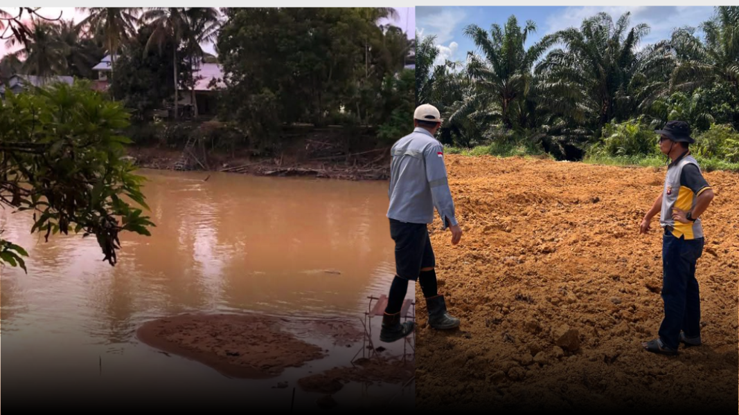Kapolsek Sungai Laur dan GM PT MBK mengecek lahan jagung di tengah keresahan warga soal pencemaran sungai akibat PETI. (Dok. Ist)