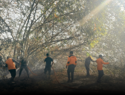 BNPB Laksanakan Operasi Modifikasi Cuaca untuk Tangani Karhutla di Riau