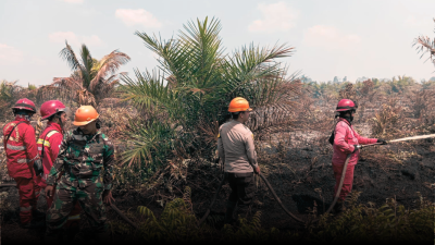 Tim gabungan Manggala Agni dan relawan memadamkan api karhutla di lahan gambut Desa Trimandayan, Sambas. (Dok. Ist)