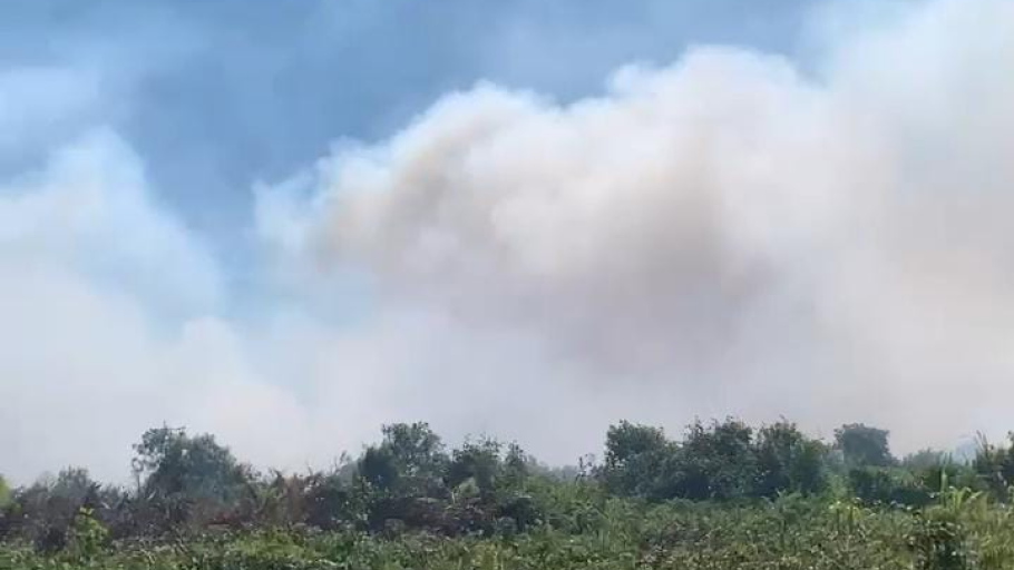 Tim gabungan memadamkan api Karhutla di Desa Semata, Sambas, yang telah membakar lahan seluas 35 hektare. (Dok. DNS/Faktakalbar.id)