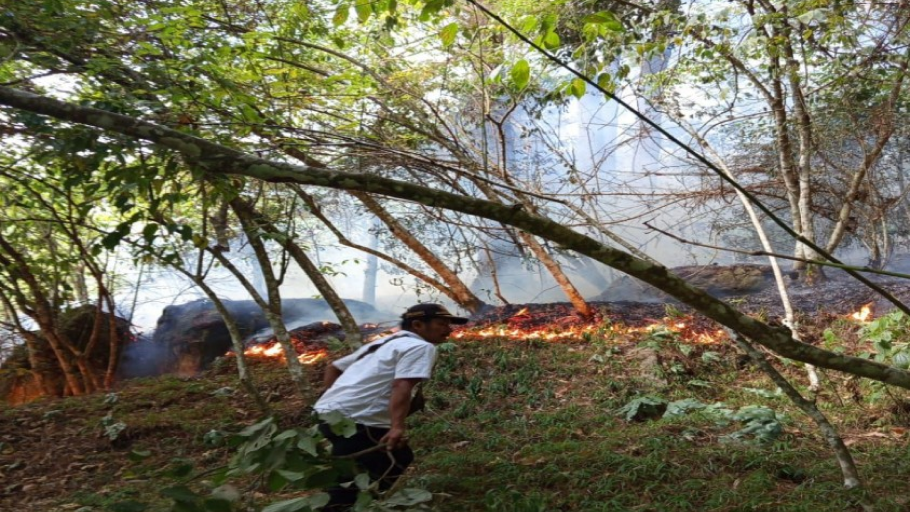 Kebakaran hutan dan lahan (karhutla) melanda Kabupaten Simalungun, Sumatera Utara, Kamis (10/7/2025). Luas lahan terbakar mencapai 10 hektare. (Foto: BPBD Simalungun)