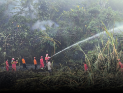 BNPB: Karhutla Meluas di Sumbar dan Sumut, Total 970 Hektare Terbakar