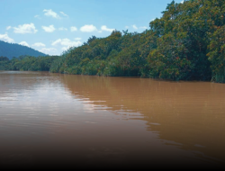 DPRD Soroti Pencemaran Sungai Sambas, Desak Pemerintah Bertindak