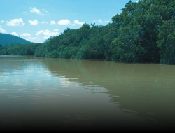 Mahasiswa Desak Pemda Tindak Tambang Ilegal di Sungai Sambas