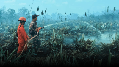 Prajurit TNI Kodam XII/Tanjungpura bersama Manggala Agni berupaya memadamkan Karhutla di Kubu Raya. (Dok. HO/Faktakalbar.id)