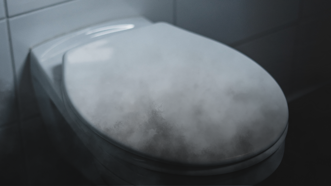 Ilustrasi - Toilet flush yang merepresentasikan kebiasaan buang air besar dan hubungannya dengan kesehatan pencernaan. (Dok. Ilustrasi/Faktakalbar.id)