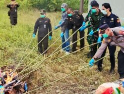 Waspada Ancaman Penyakit Impor, Aparat di Entikong Bakar Daging dan Bibit Tanaman Ilegal
