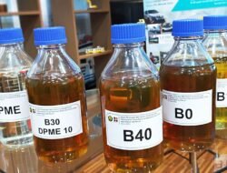 Indonesia Segera Terapkan B50, Pabrik Biodiesel Baru Dibangun di Papua