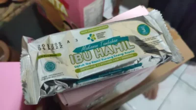 Makanan untuk ibu hamil bantuan dari Kemenkes