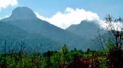 Penutupan sementara jalur pendakian Gunung Bawang usai insiden sambaran petir dan kondisi cuaca ekstrem.