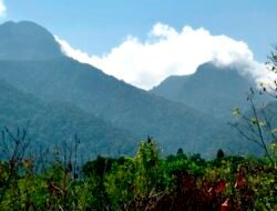 Jalur Pendakian Gunung Bawang Ditutup Sementara Usai Insiden Sambaran Petir