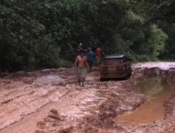 Pemprov Kalbar Gelontorkan Rp475 Miliar untuk Perbaikan Jalan Rusak Berat di 2025