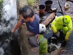 Pipa Minyak PT Vale Bocor, Sawah dan Sungai di Luwu Timur Menghitam