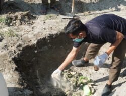 Bea Cukai Langsa Gagalkan Penyelundupan Unggas Ilegal Senilai Setengah Miliar Rupiah di Aceh Tamiang