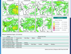 Prakiraan Cuaca Kalbar Hari Ini: BMKG Peringatkan Potensi Hujan Lebat di 4 Kabupaten