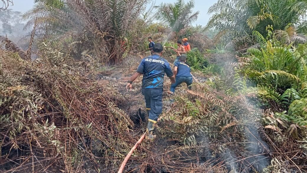 Tim gabungan berupaya memadamkan api di area lahan terbakar di Kabupaten Aceh Barat Daya, Provinsi Aceh, Minggu (17/8). Sumber: BPBD Kabupaten Aceh Barat Daya.