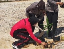 Jelang HUT ke-77, Polwan Polres Sekadau Gelar Aksi Tanam Pohon di Belitang Hilir