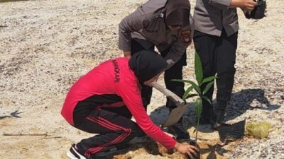 Personel Polwan Polres Sekadau bersama anggota Bhayangkari bekerja sama menanam bibit pohon di Dusun Simpi, Kecamatan Belitang Hilir, Rabu (27/8/2025). Kegiatan ini merupakan bagian dari rangkaian peringatan HUT Polwan ke-77.