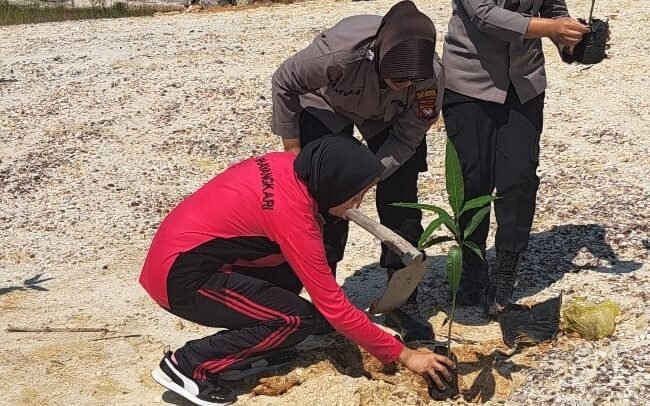 Personel Polwan Polres Sekadau bersama anggota Bhayangkari bekerja sama menanam bibit pohon di Dusun Simpi, Kecamatan Belitang Hilir, Rabu (27/8/2025). Kegiatan ini merupakan bagian dari rangkaian peringatan HUT Polwan ke-77.