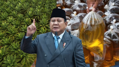 Presiden Prabowo Subianto menyinggung ironi Indonesia sebagai negara penghasil kelapa sawit terbesar di dunia tapi minyak goreng langka. (Dok. Ist)