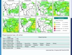 Prakiraan Cuaca Kalbar 14 Agustus 2025: Waspada Potensi Hujan Lebat di Sejumlah Wilayah