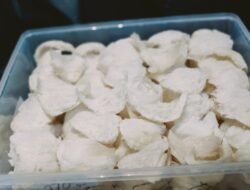 Industri Sarang Burung Walet Menurun, PPSWN Minta Pemerintah Atasi Suspensi Ekspor ke China