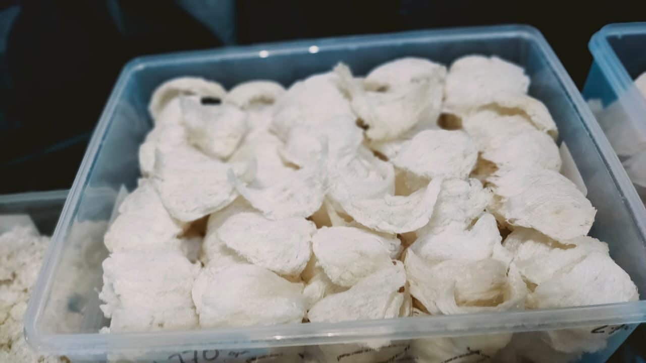 Tumpukan sarang burung walet siap diekspor, namun terkendala regulasi dan suspensi dari pemerintah China yang berdampak pada ribuan pelaku industri lokal.