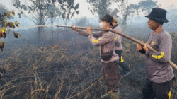 Petugas gabungan berjuang memadamkan api di tengah sulitnya medan lahan gambut di Dusun Piasak, Tayan Hilir, Sanggau. (Dok. HO/Faktakalbar.id)