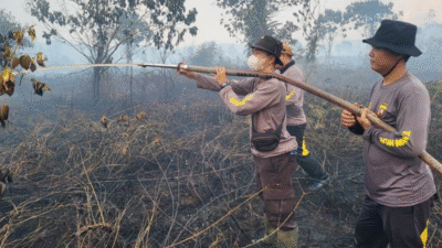 Petugas gabungan berjuang memadamkan api di tengah sulitnya medan lahan gambut di Dusun Piasak, Tayan Hilir, Sanggau. (Dok. HO/Faktakalbar.id)
