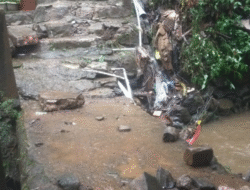 BNPB Catat 9 Bencana dalam Sehari, Karhutla dan Banjir Dominasi