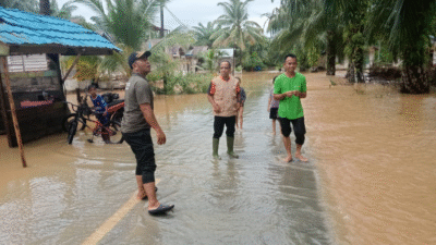 Wilayah terdampak banjir di Kabupaten Aceh Barat Daya, Provinsi Aceh. (Dok. HO/faktakalbar.id)