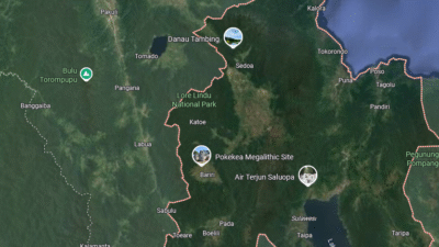 Peta wilayah Kabupaten Poso, Sulawesi Tengah. (Dok. Google Maps)