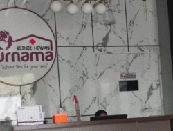 Klinik Hewan Purnama Meriahkan HUT RI ke-80 dengan Lomba Hewan dan Vaksinasi Gratis