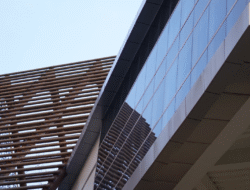 10 Program Studi dengan Daya Tampung Terbesar di Universitas Tanjungpura Jalur SNBT 2025