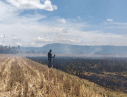 BNPB Catat 30 Bencana di Indonesia, Karhutla hingga Erupsi Gunung Ile Lewotolok