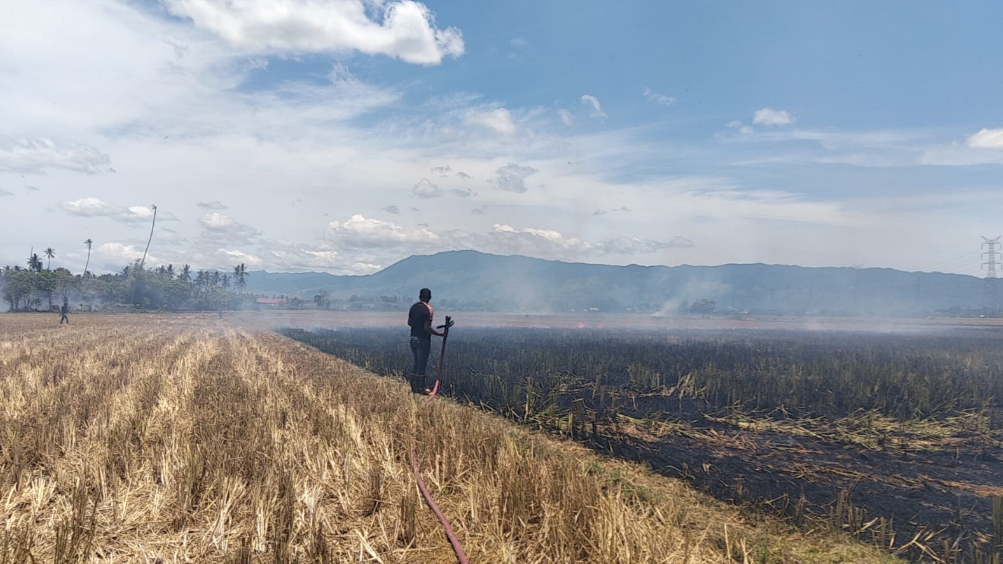 Petugas BNPB dan BPBD melakukan pemadaman kebakaran hutan di Kabupaten Aceh menggunakan peralatan darat. (Dok. HO/Faktakalbar.id)