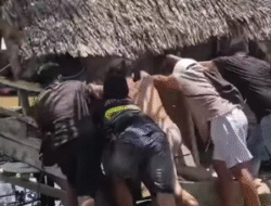 Dugaan Kasus Asusila Anak di Sambas Picu Amuk Massa, Satu Rumah Dibakar