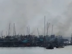 Kuasai 80% Lahan IUP, PT Timah Ungkap Produksi Anjlok Akibat Tambang Ilegal